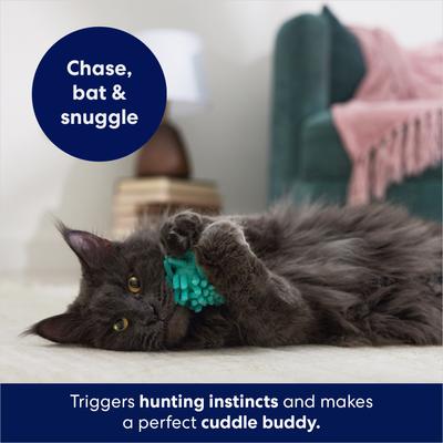 Show full view: Sheba Meaty Tender Sticks Chicken Cat Treats, 5 count + Frisco Moppy Ball Cat Toy, Blue slide 9 of 9