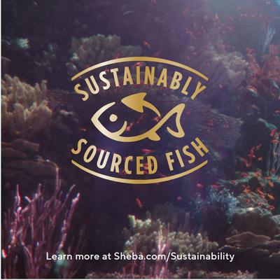 Show full view: Sheba Perfect Portions Grain-Free Salmon, Trout, & Tuna Entree Variety Pack Cuts in Gravy Wet Cat Food Trays, 2.6-oz tray, case of 48 slide 10 of 11