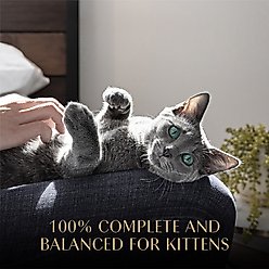 Sheba Perfect Portions Kitten Turkey Entree Pate Wet Cat Food, 2.6-oz twin-pack tray, case of 24 slide 2 of 9