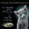 Show in main carousel: Sheba Perfect Portions Kitten Variety Pack Chicken Pate & Pate Salmon Wet Cat Food, 2.6-oz tray, case of 24 slide 8 of 11