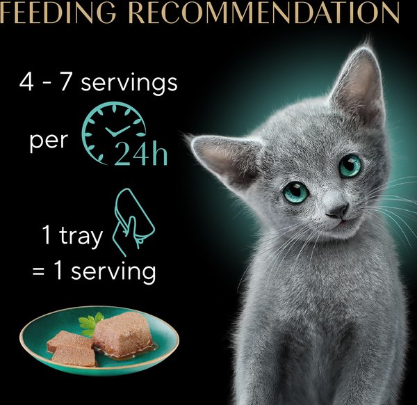 Sheba Perfect Portions Kitten Variety Pack Chicken Pate & Pate Salmon Wet Cat Food