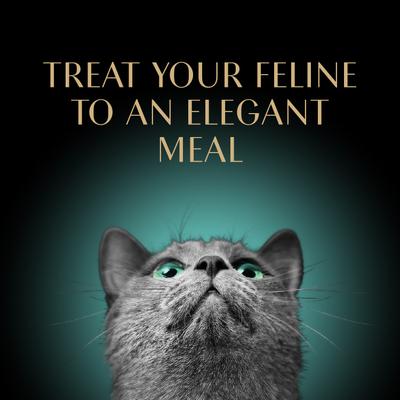 Show full view: Sheba Perfect Portions Poultry Entrees Pate Variety Pack Adult Wet Cat Food Trays, 2.6-oz tray, case of 24 slide 9 of 12