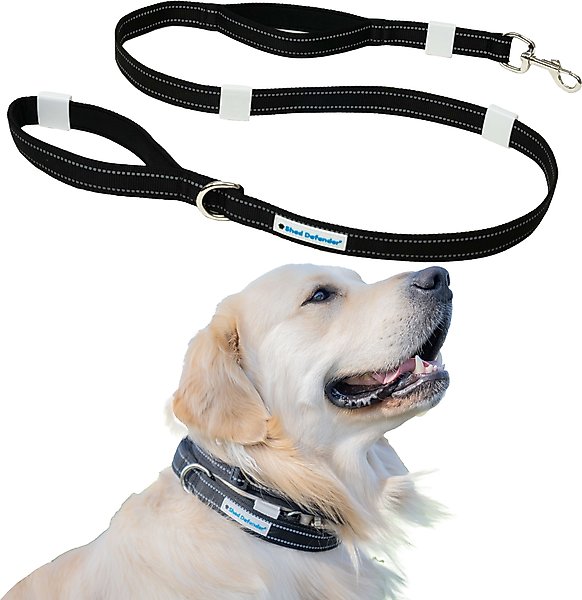 SHED DEFENDER Mag-Snap Two Handle Dog Leash, 5-ft, Black