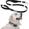 Show in main carousel: Shed Defender Mag-Snap Two Handle Dog Leash, 5-ft, Black slide 1 of 11
