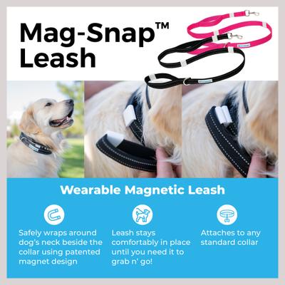 Show full view: Shed Defender Mag-Snap Two Handle Dog Leash, 5-ft, Black slide 3 of 11