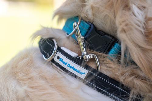 Show full view: Shed Defender Mag-Snap Two Handle Dog Leash, 5-ft, Black slide 5 of 11