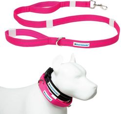 Shed Defender Mag-Snap Two Handle Dog Leash, 5-ft, Pink