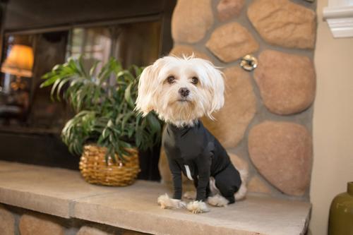 Show full view: Shed Defender Original Dog Onesie, Black, X-Small slide 6 of 10