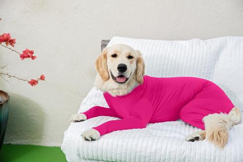 Show full view: Shed Defender Original Dog Onesie, Hot Pink, Large slide 7 of 10