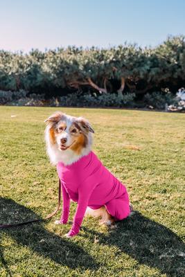 Show full view: Shed Defender Original Dog Onesie, Hot Pink, Small slide 7 of 10