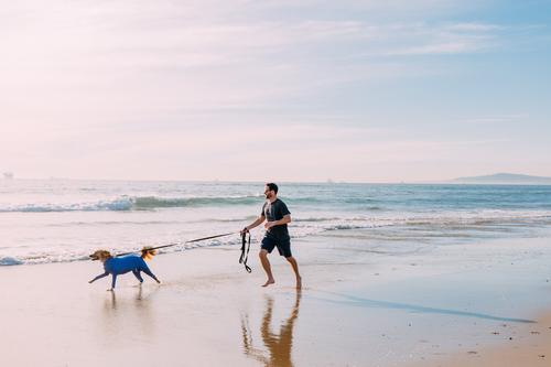 Show full view: Shed Defender Original Dog Onesie, Royal Blue, Mini slide 8 of 10