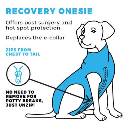 Show full view: Shed Defender Recovery Dog Onesie, Black, Mini slide 9 of 12