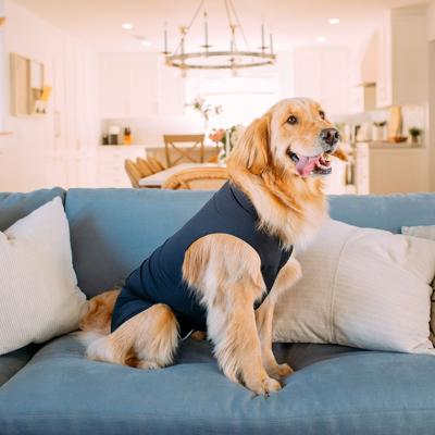 Show full view: Shed Defender Recovery Dog Onesie, Black, X-Small slide 10 of 12