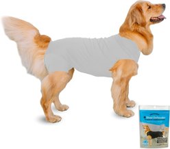 Shed Defender Recovery Dog Onesie, Heather Grey, Large