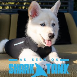 Shed Defender Recovery Dog Onesie, Heather Grey, Large slide 2 of 9