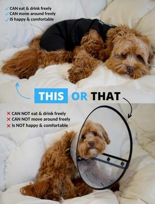 Show full view: Shed Defender Recovery Dog Onesie, Heather Grey, X-Large slide 4 of 12