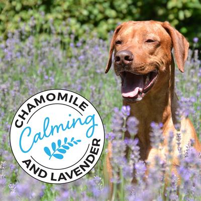 Show full view: Shed Defender Shed Defense Omega 3 & 6 Dog & Cat Shampoo, 16-fl oz bottle slide 7 of 8