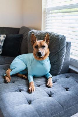 Show full view: Shed Defender Sport Dog Onesie, Columbia Blue, Large slide 7 of 9