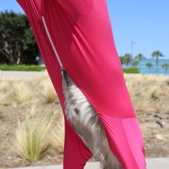 Shed Defender Sport Dog Onesie Heather Grey, Giant slide 2 of 9