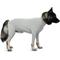 Show in main carousel: Shed Defender Sport Dog Onesie Heather Grey, Medium slide 1 of 11