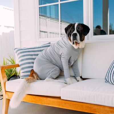 Show full view: Shed Defender Sport Dog Onesie Heather Grey, Medium slide 7 of 11