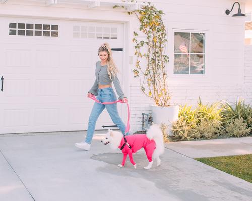 Show full view: Shed Defender Sport Dog Onesie Hot Pink, Giant slide 7 of 11