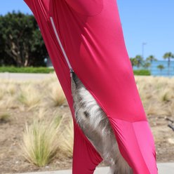 Shed Defender Sport Dog Onesie Hot Pink, Large slide 2 of 9