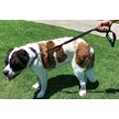 Show in main carousel: Shed Defender Three Handle Bungee Reflective Dog Leash, Black, 4 to 7-ft long, 1-in wide slide 4 of 7