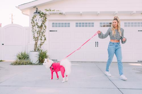 Show full view: Shed Defender Three Handle Bungee Reflective Dog Leash, Hot Pink, 4 to 7-ft long, 1-in wide slide 3 of 8
