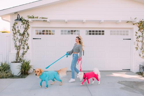 Show full view: Shed Defender Three Handle Bungee Reflective Dog Leash, Hot Pink, 4 to 7-ft long, 1-in wide slide 4 of 8