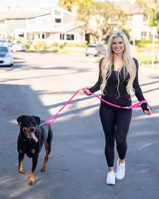 Show full view: Shed Defender Three Handle Bungee Reflective Dog Leash, Red, 4 to 7-ft long, 1-in wide slide 4 of 7