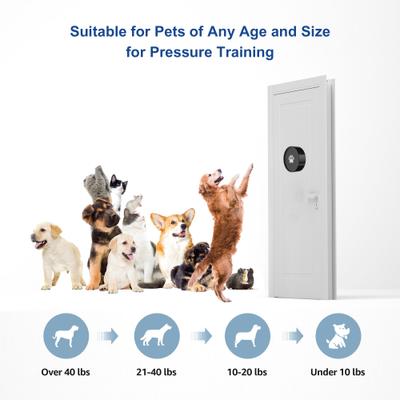 Show full view: Shele Potty Communication Doorbell with Super-Light Press Button Dog Doorbell, Black slide 6 of 8