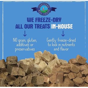 Shepherd Boy Farms Bison Liver Freeze-Dried Dog & Cat Treats, 3-oz bag