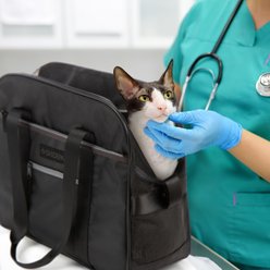 Sherpa Around Town Fashionable Tote Dog & Cat Carrier, Black, Large slide 2 of 9