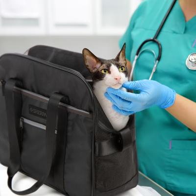 Show full view: Sherpa Around Town Fashionable Tote Dog & Cat Carrier, Black, Large slide 4 of 10