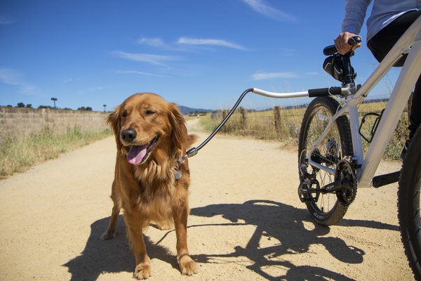 Sherpa Cycleash Dog Bike Leash, Large, Silver