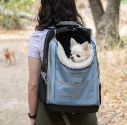 Sherpa Elevation Backpack Dog & Cat Carrier, Blue, Medium