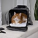 Sherpa Original Deluxe Airline-Approved Dog & Cat Carrier Bag, Charcoal, Medium