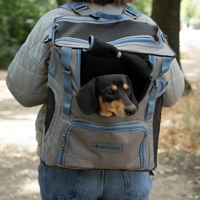 Sherpa Sherpa Trek Tote 2-in-1 Backpack & Tote Dog & Cat Carrier, Gray, Medium