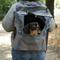 Show in main carousel: Sherpa Trek Tote 2-in-1 Backpack & Tote Dog & Cat Carrier, Gray, Medium slide 1 of 9