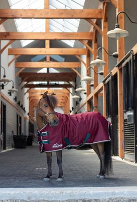Show full view: Shires Equestrian Products Highlander Original 200g Mini Horse Turnout Blanket, Maroon, 36-in slide 2 of 3