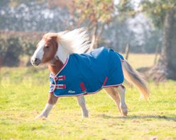 Shires Equestrian Products Highlander Original Lite Mini Horse Turnout Blanket, Teal, 39-in