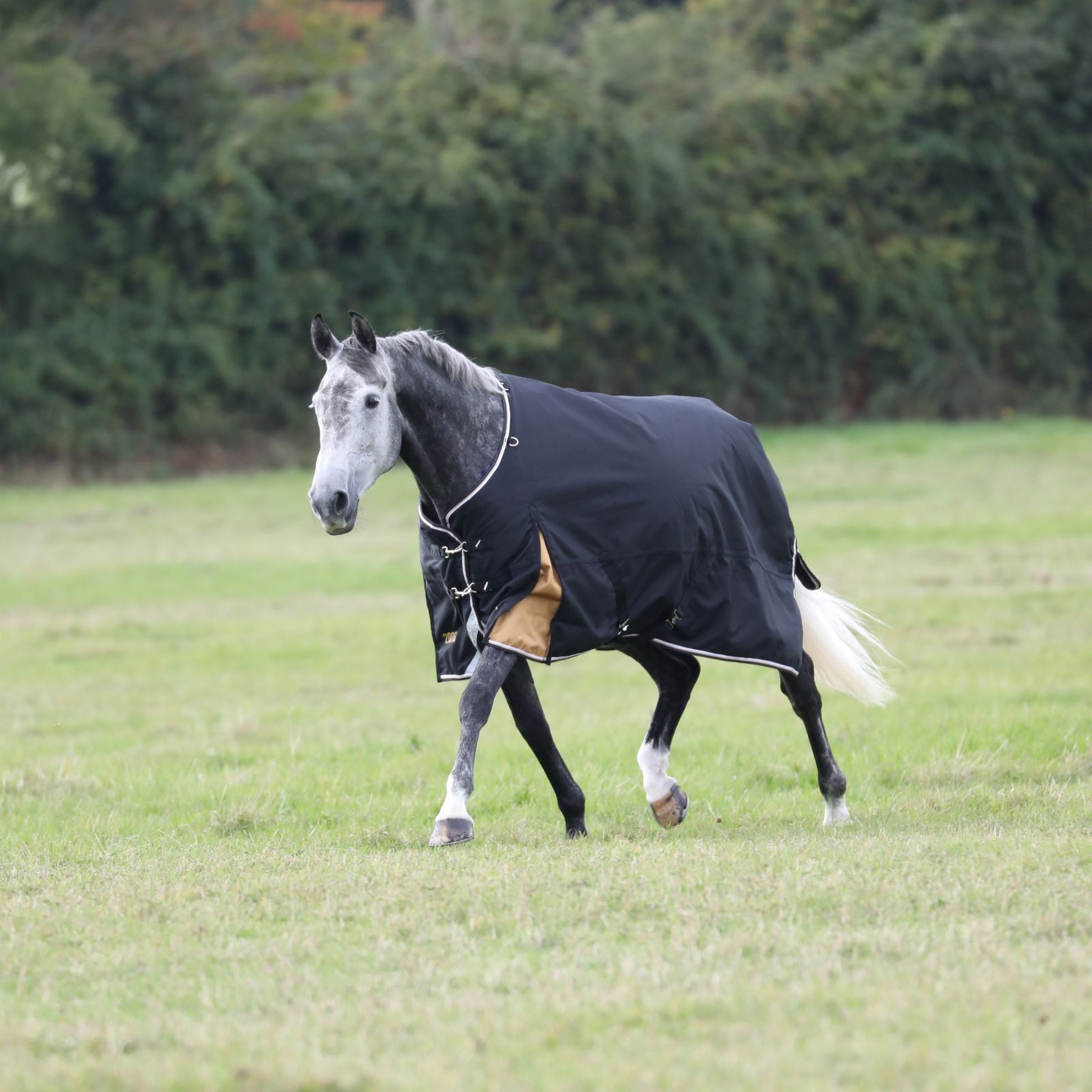 Shires Equestrian Products Highlander Plus 200g Horse Turnout Blanket, Black & Gold, 75-in