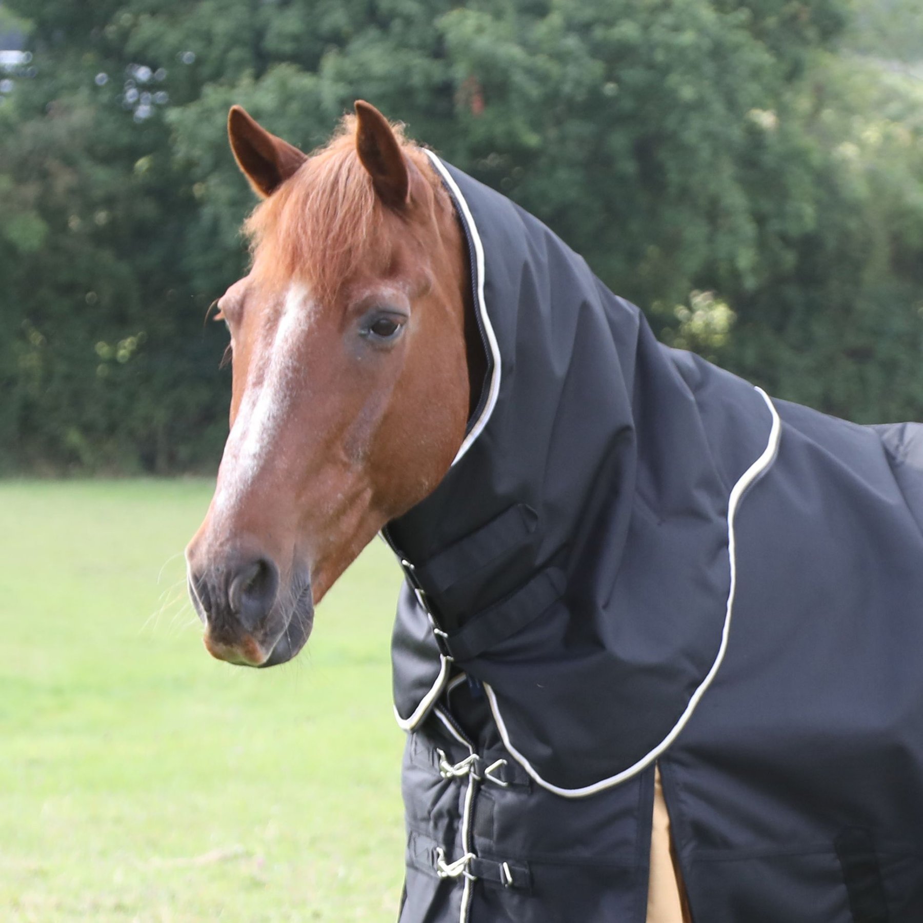Shires Equestrian Products Highlander Plus 200-g Neck Cover Horse Blanket Attachment, Black & Gold, Medium