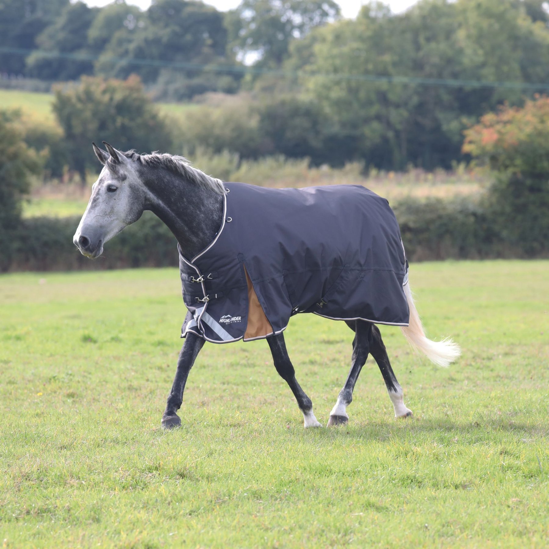 Shires Equestrian Products Highlander Plus 300g Horse Turnout Blanket, Grey, 72-in