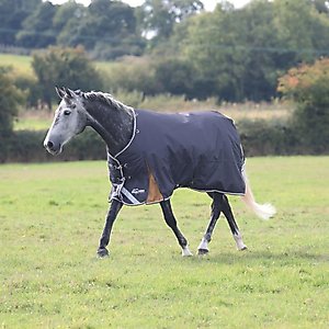 Shires Equestrian Products Highlander Plus 300g Horse Turnout Blanket, Grey, 81-in