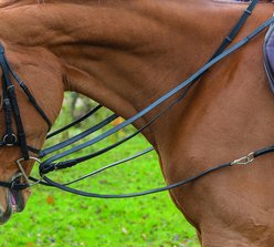 Shires Equestrian Products Leather Draw Horse Reins, Black