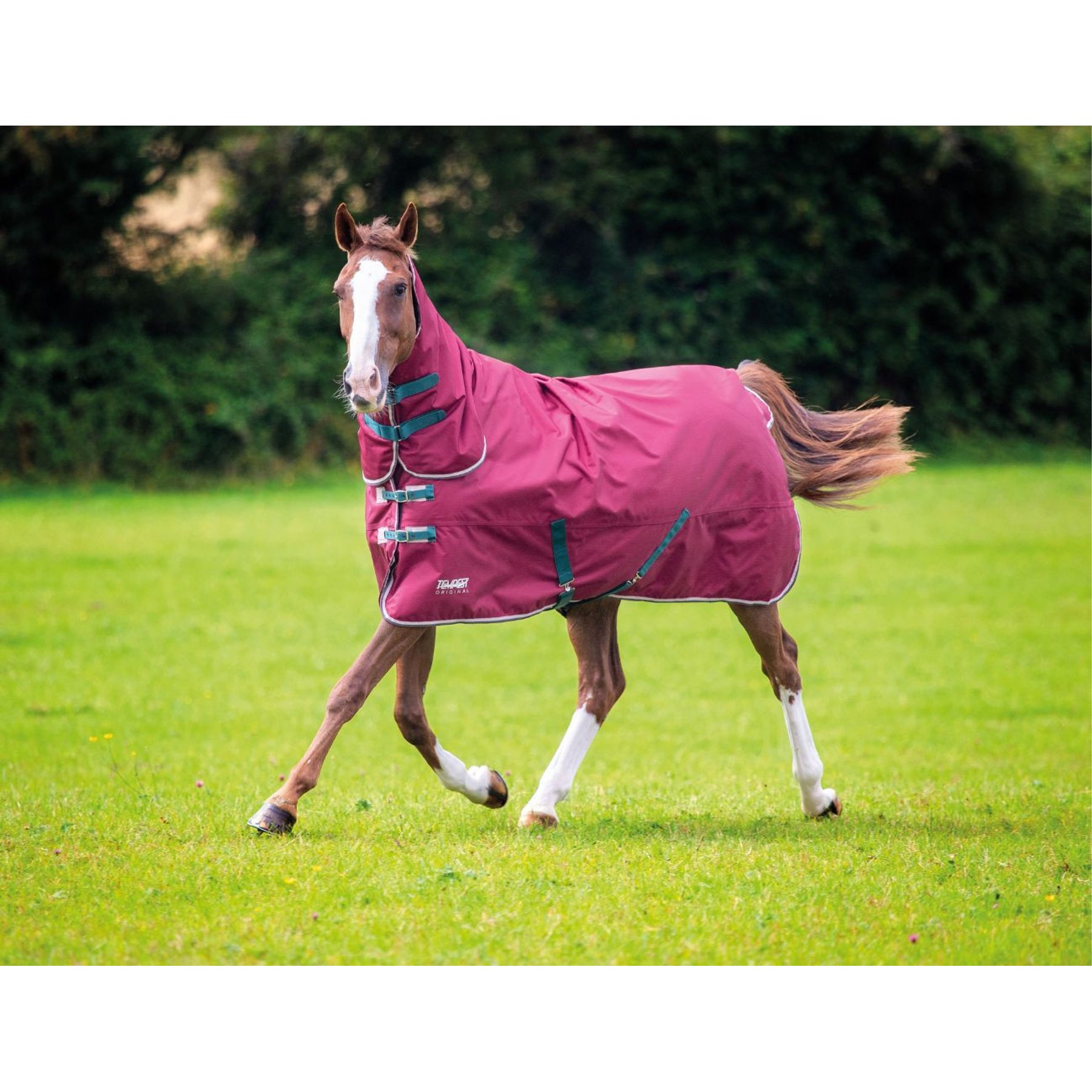 Shires Equestrian Products Tempest 200g Original Horse Turnout Blanket, Maroon, 81-in
