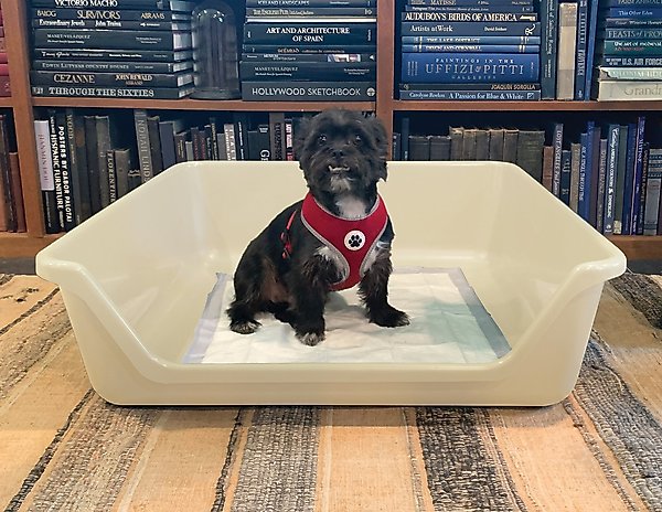 Show full view: Shirley K's Indoor Dog Potty Tray, X-Large, Beige slide 1 of 9