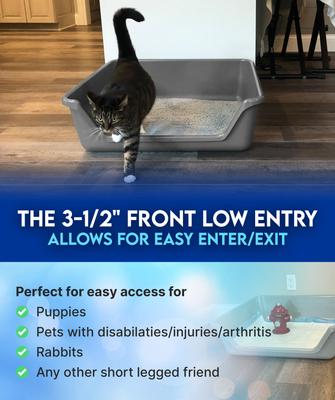 Show full view: Shirley K's Indoor Dog Potty Tray, 30-in, Beige slide 8 of 9